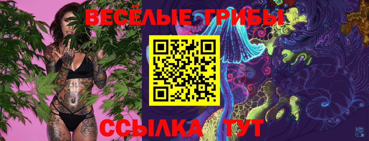 Псилоцибиновые грибы MAGIC MUSHROOMS Альметьевск