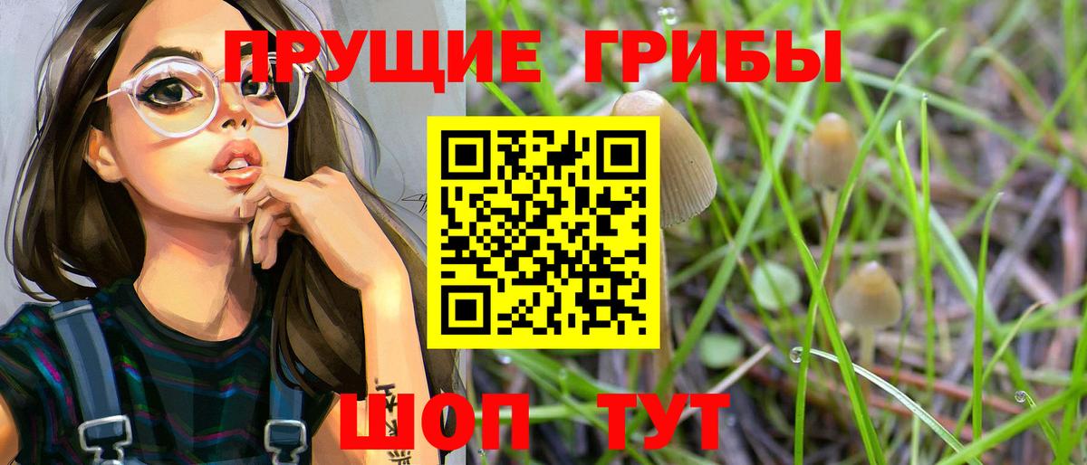 Альметьевск  Галлюциногенные грибы Magic Shrooms  Псилоцибиновые грибы Cubensis  Вход с VPN 
